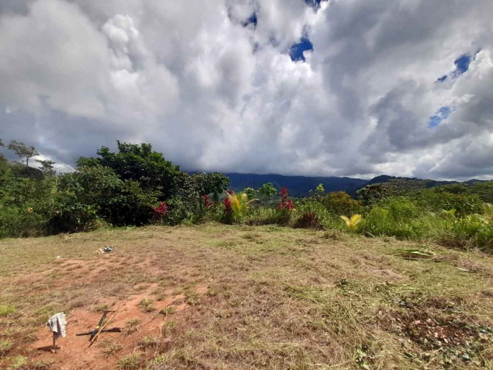 0 bed Lot/Land For Sale in Puntarenas, 