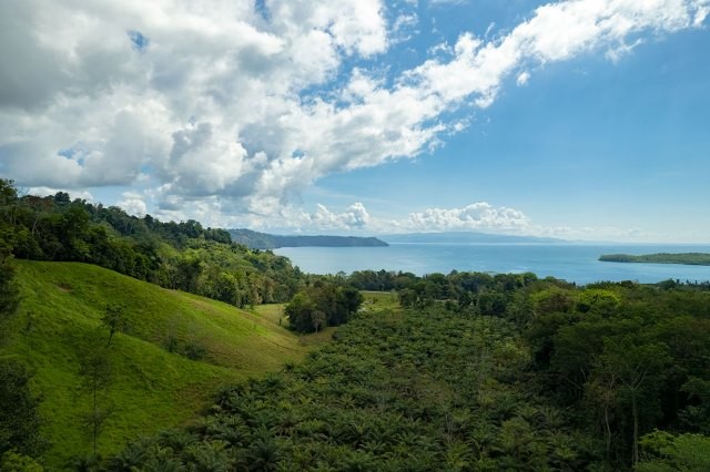 0 bed Lot/Land For Sale in Puntarenas,  - 1